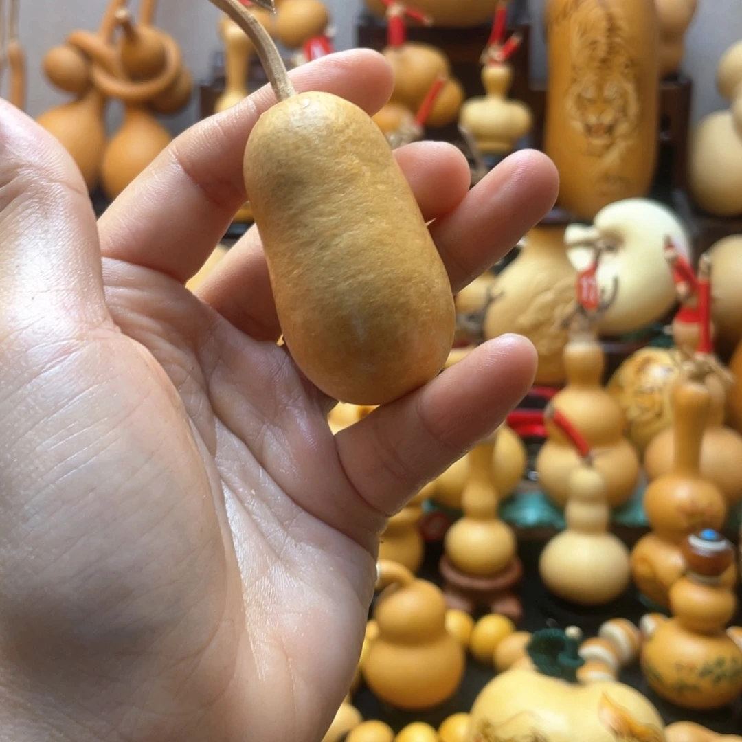 荣大自然的秘密第十一节你要