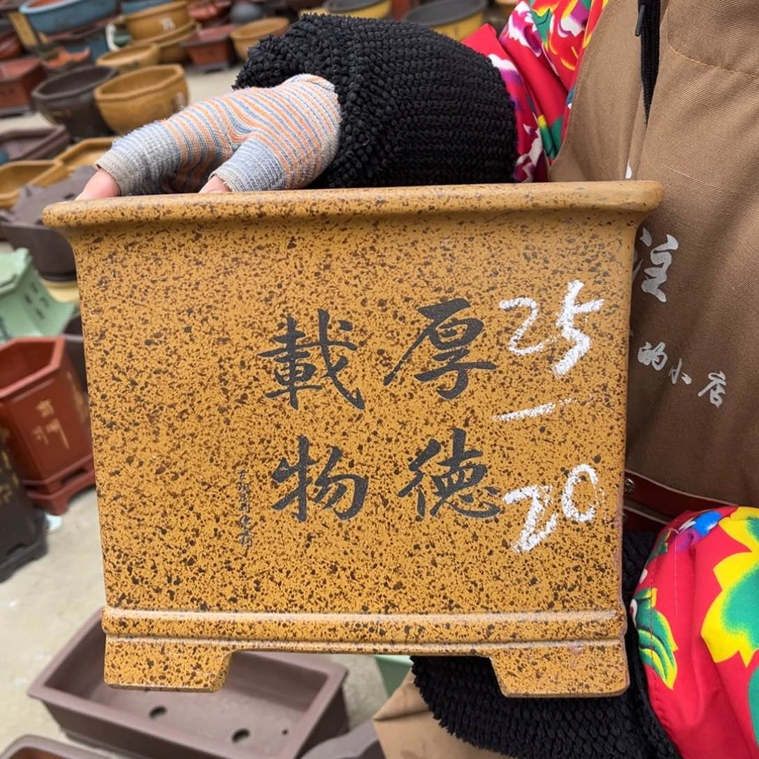 紫砂花盆盆景艺术