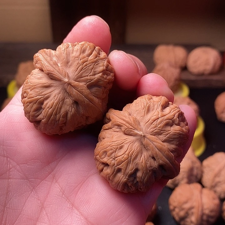 好****大叶紫檀（黑酸枝木类）核桃