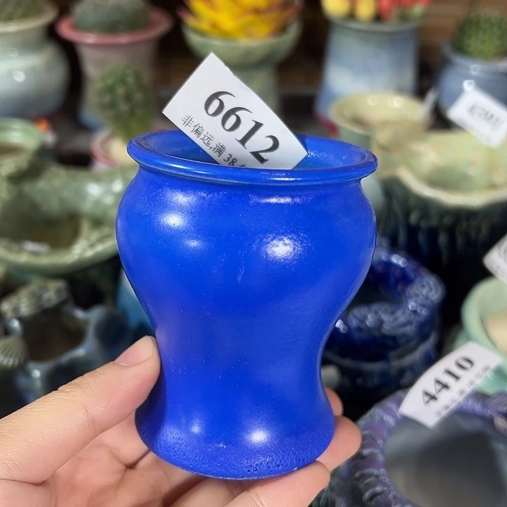 口6高8未满30元运费到付