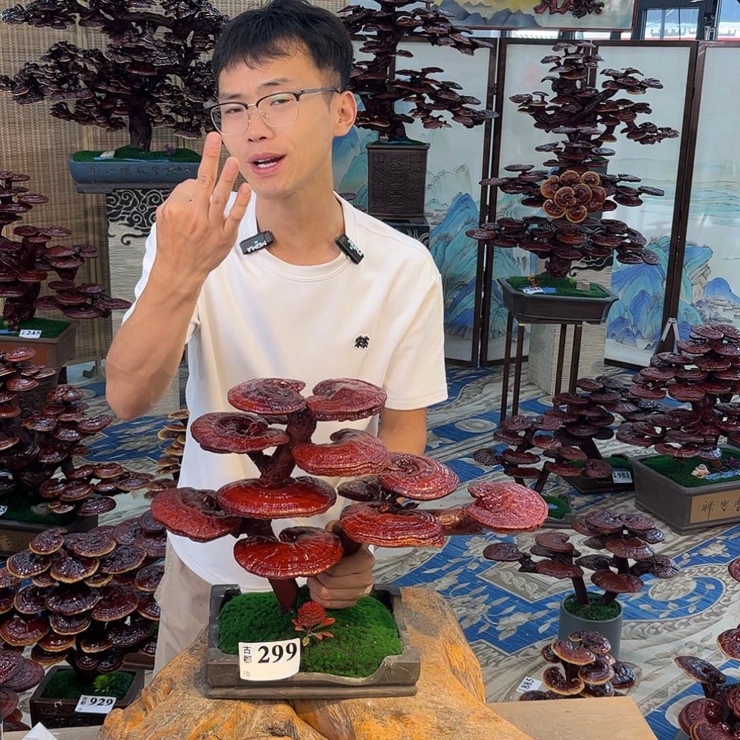 无花朵89889885998889899