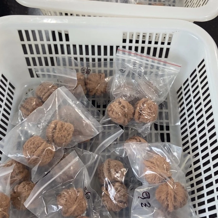 吊坠文玩核桃三角白瑕疵