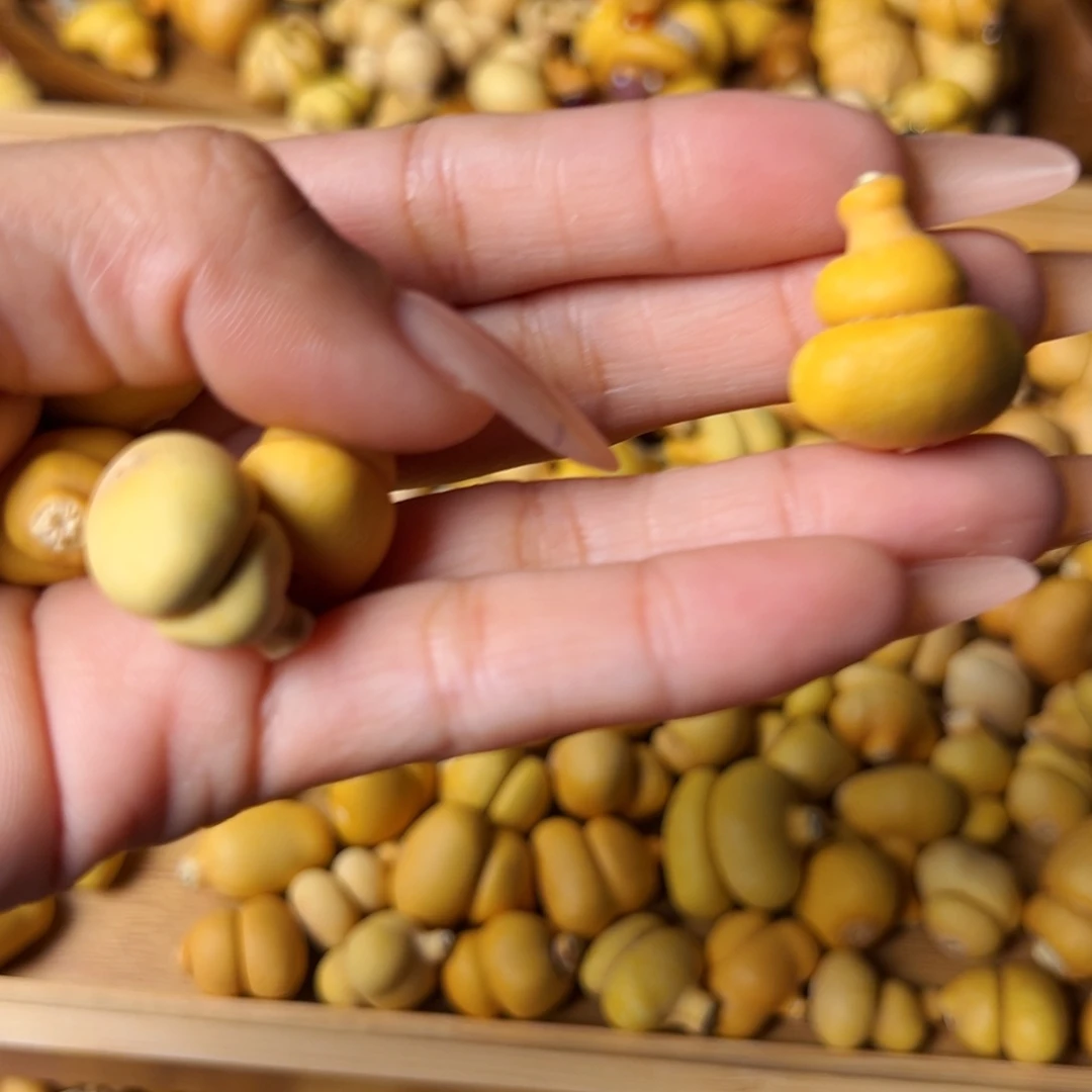 关****大叶紫檀（黑酸枝木类）