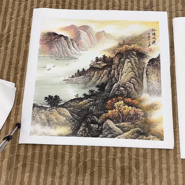 国画醉**风花鸟的翅膀是白色和黑色两