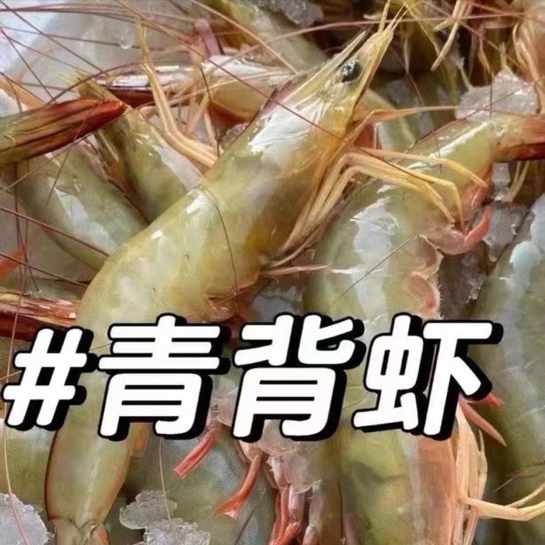 海捕带膏明虾 明虾母，青背