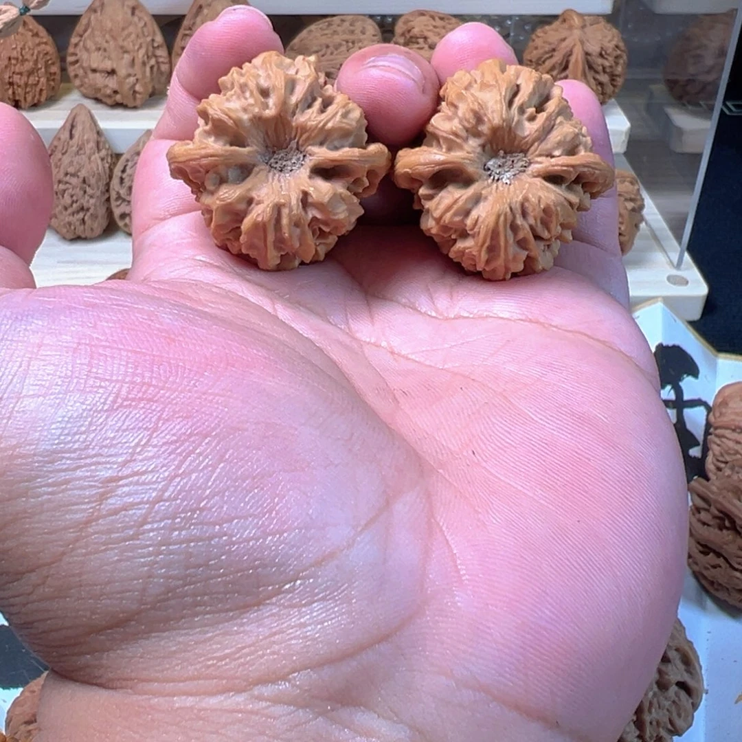 手串/手链核桃38尺龙门涧