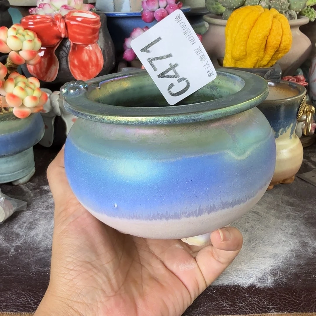 重庆小燕子欢迎大家471
