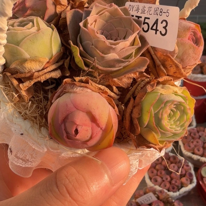 TT543 四万玫红倾城系列花篮