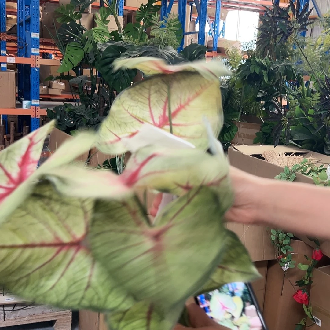 拍样品瑕疵瑕疵瑕疵