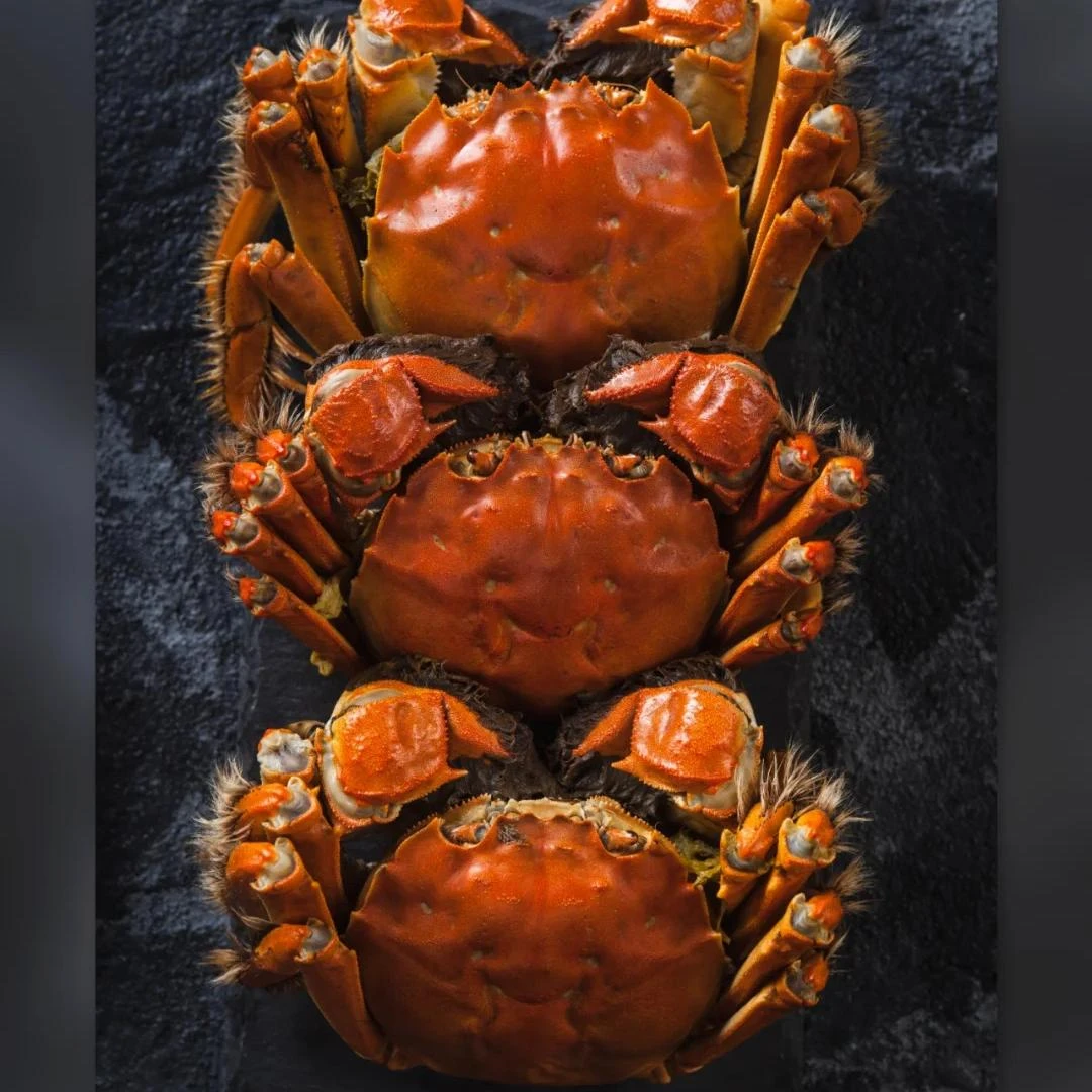 公蟹4.5-4.2两+母4.5-4.2两 5对装共10只【活蟹现发】顺丰京东苏州产地直发大闸蟹