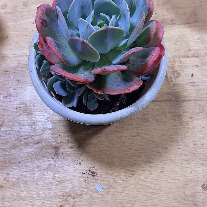 墨***岩0000000000000000067