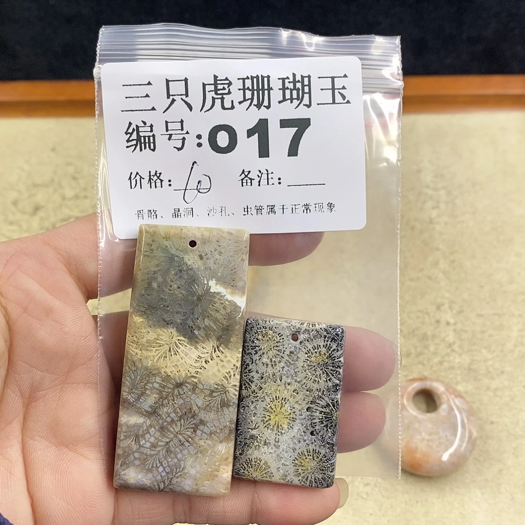 硅化珊瑚（珊瑚玉）1未镶嵌家****！