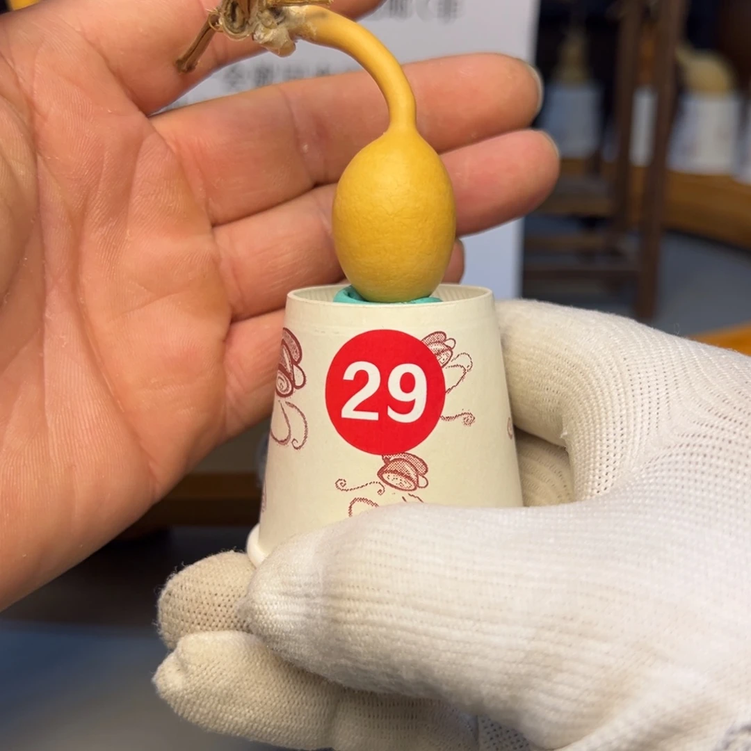 闪电购自助下单编号29