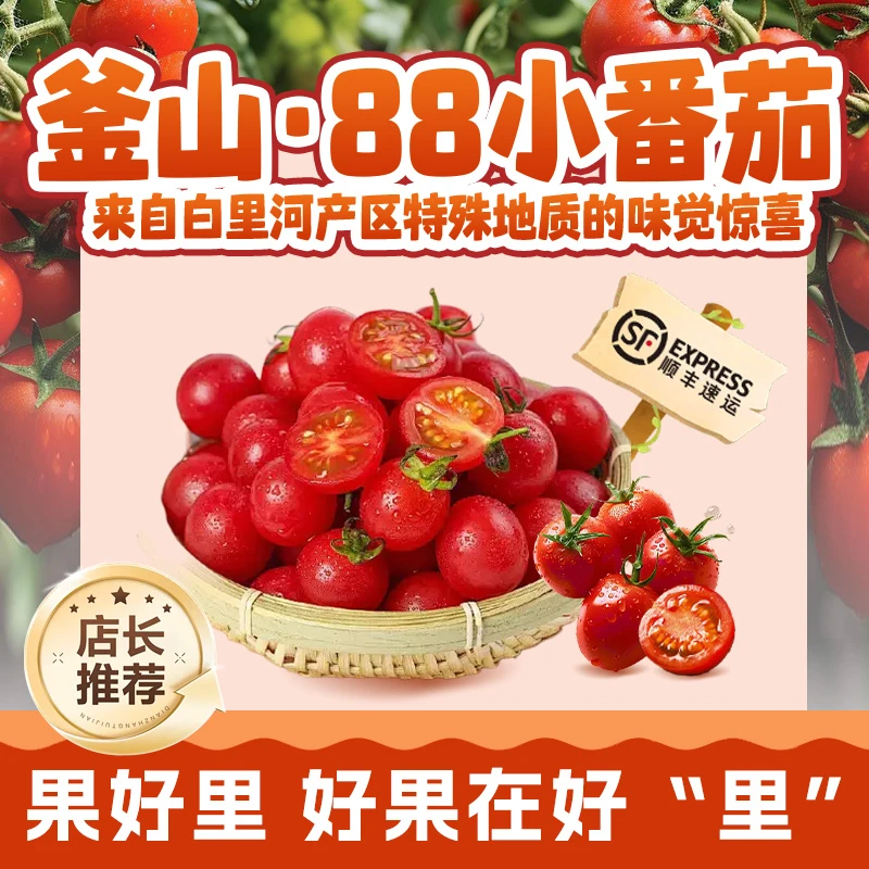 【老孙夫妇专属】高端送礼正宗釜山88小番茄精品现摘现发‘小糖豆’