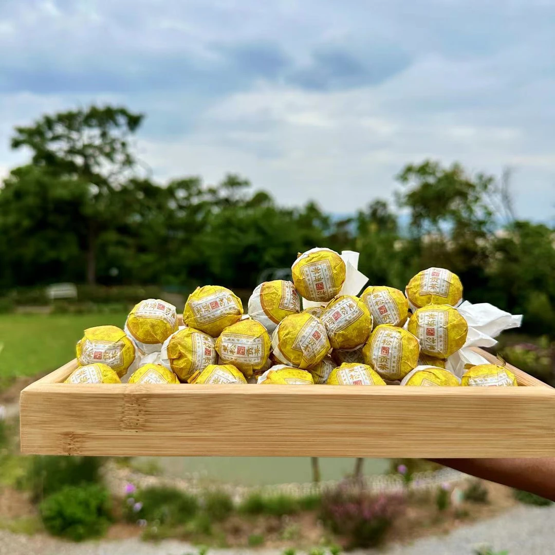 云南普洱茶【曼松 龙珠】迷你小沱茶花果香