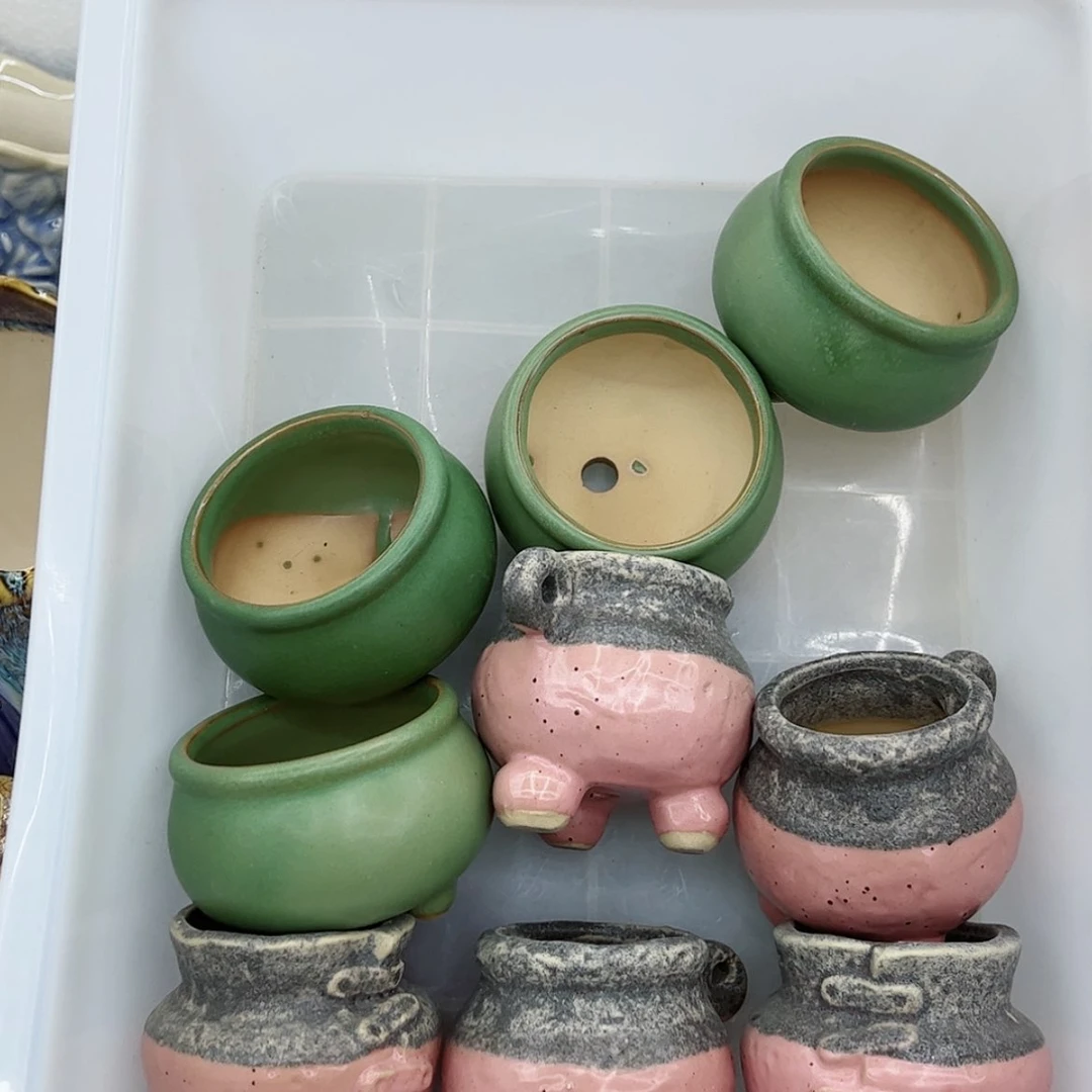 【闪购商品】陶瓷多肉绿植陶瓷花盆