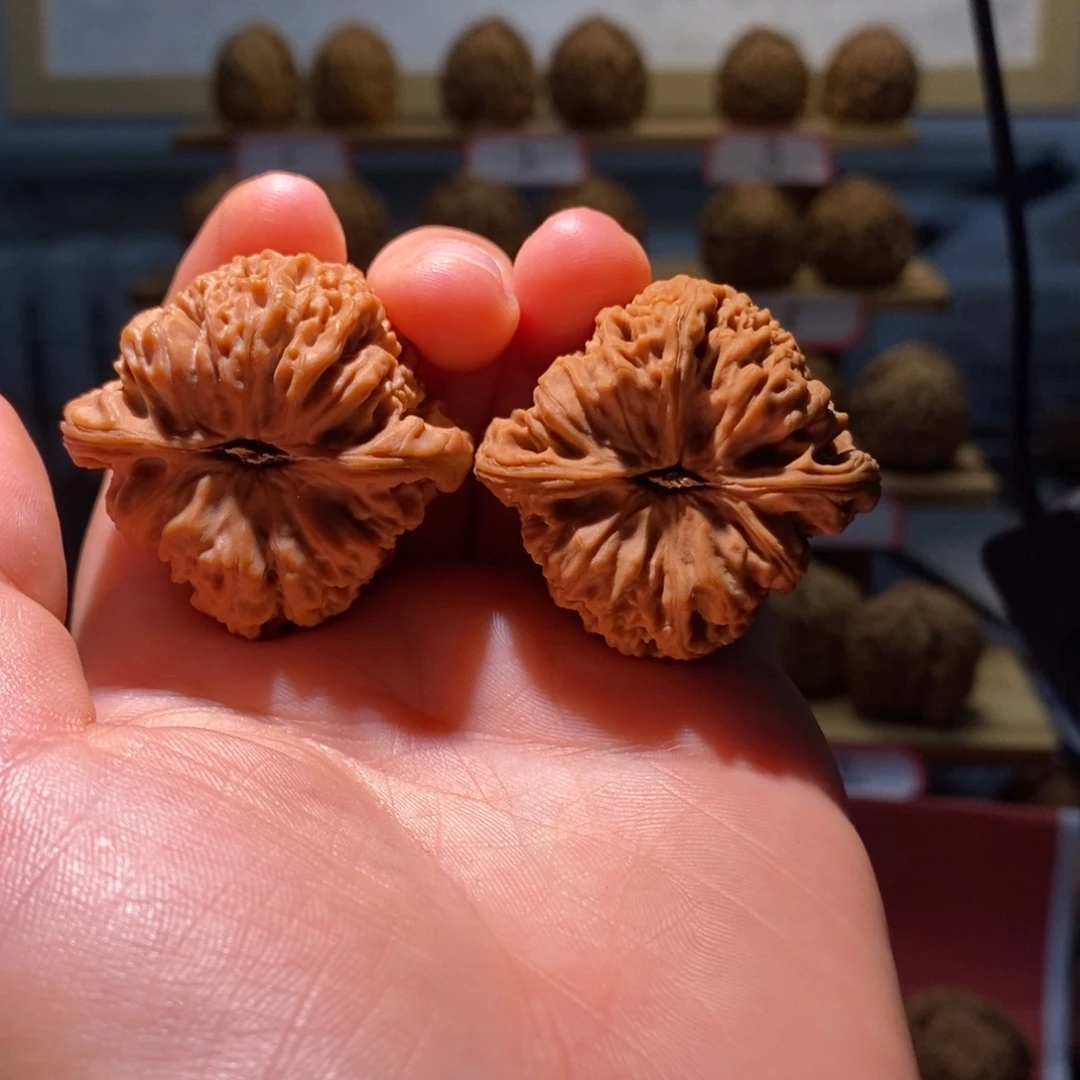 老***卷南将石文玩核桃40