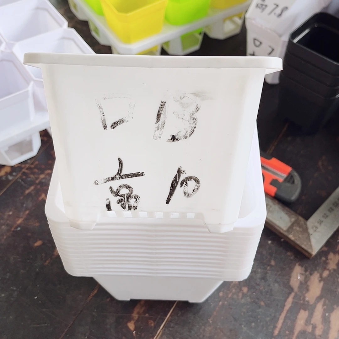 塑料福利款13方白色盆20个无托