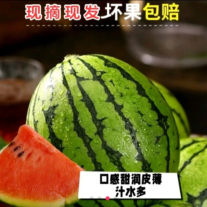 【顺丰包邮】九斤精品西瓜早春红玉小糖丸脆甜爆汁现摘现发西瓜