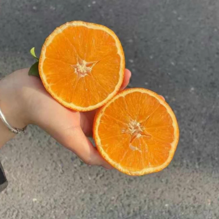 红美人一箱
