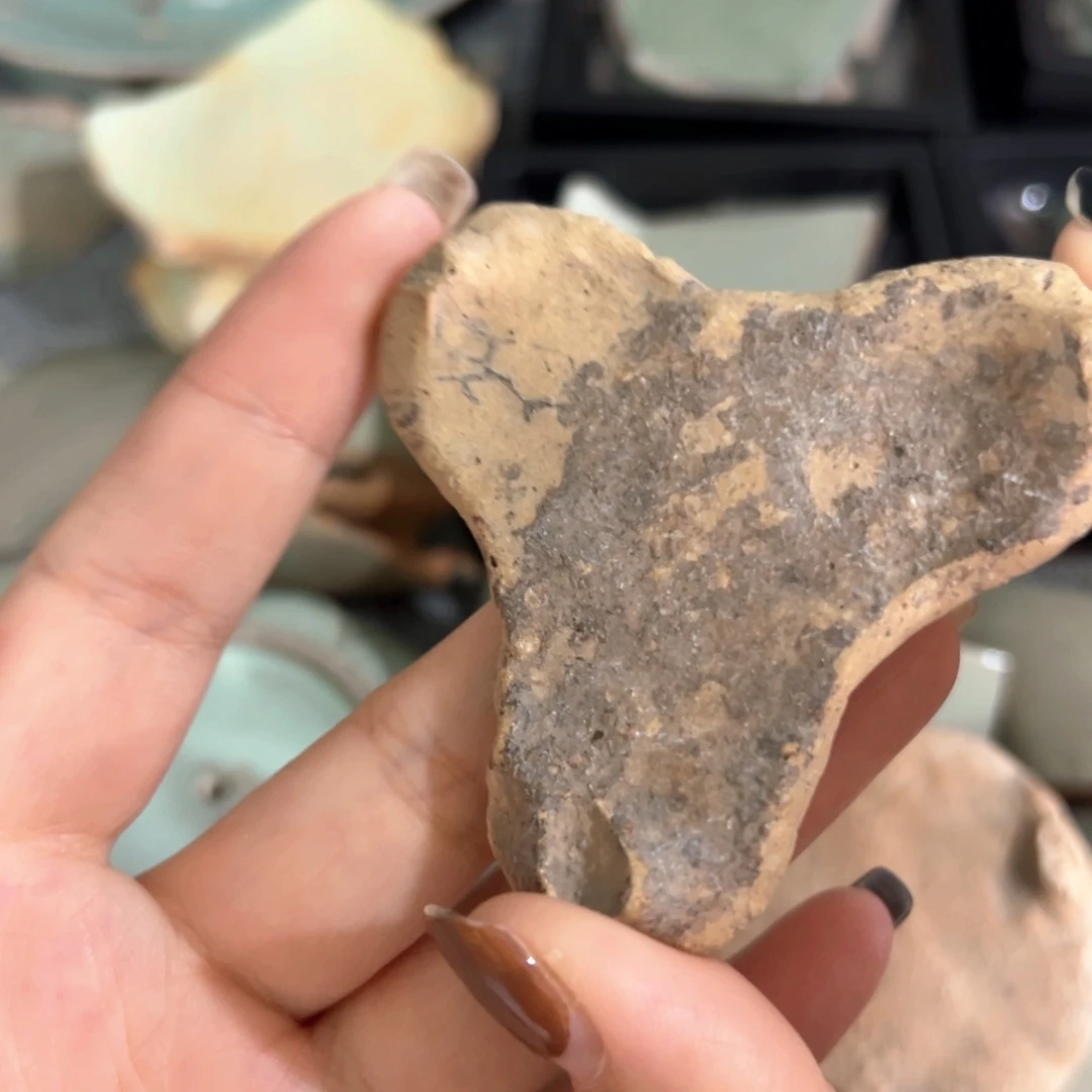 瓷片瓷瓷瓷瓷瓷瓷瓷瓷瓷