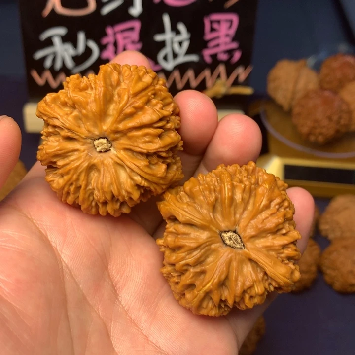 、***。45南疆和一对金刚纹