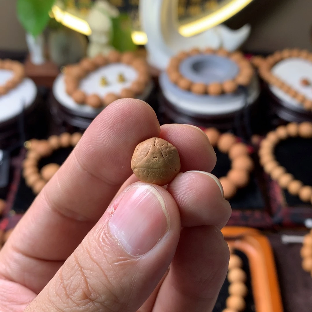 跑***快手串凤眼菩提龙12