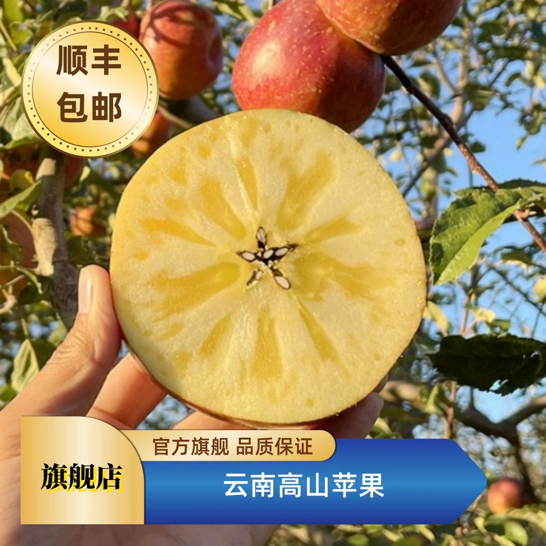 【新粉浮力】云南高山苹果当季鲜苹果脆甜多汁水分足皮薄