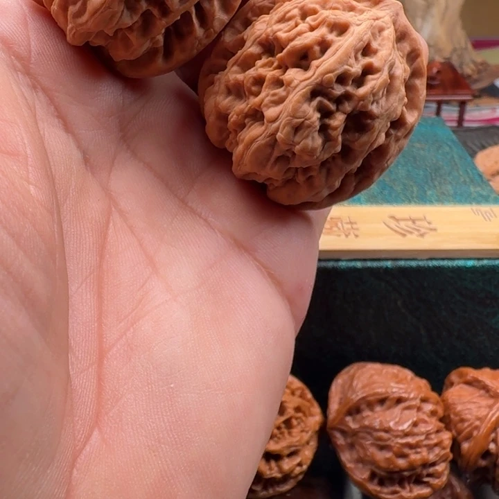 文玩核桃吊坠九龙筋