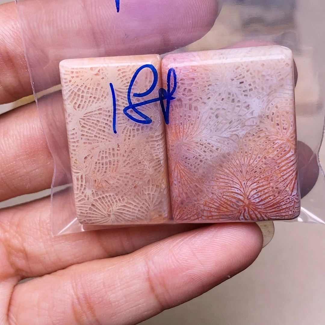 ʰ***ₐ硅化玉合金珊瑚玉