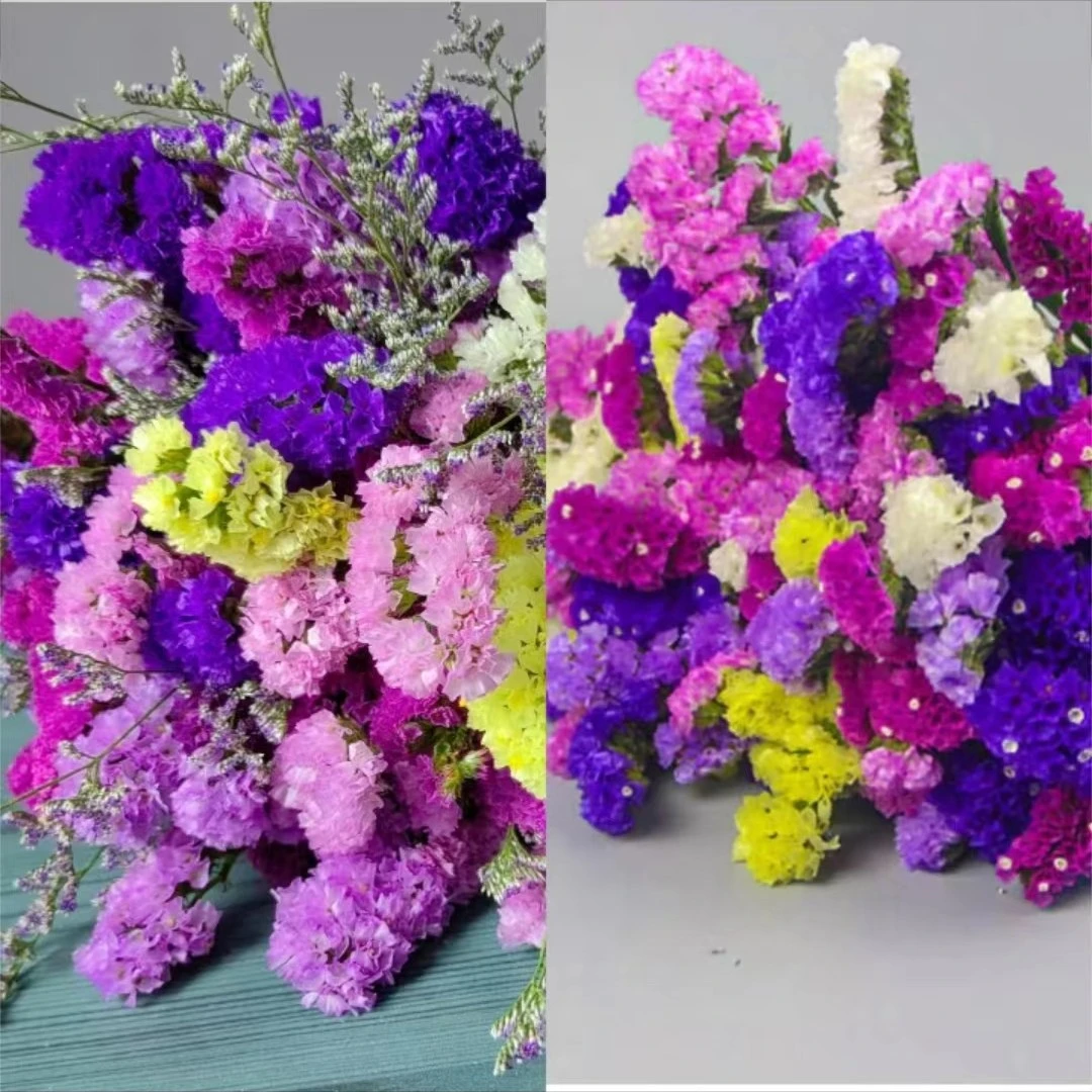 【买一送一】混搭勿忘我干送老婆花束新房装饰生日倒挂风干摆件