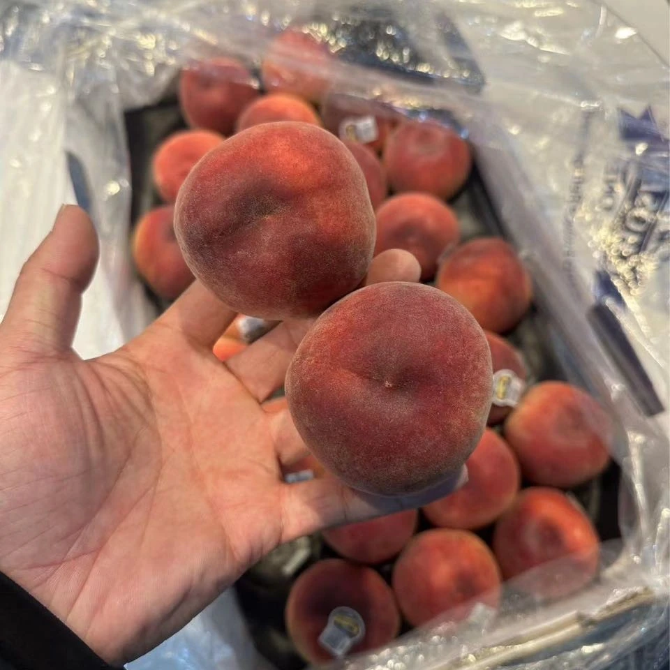 【水蜜桃】澳洲银腰带水蜜桃