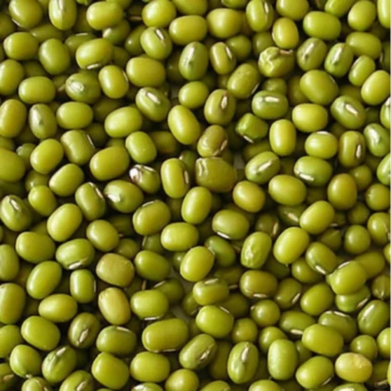 农家特产山货绿豆 T7