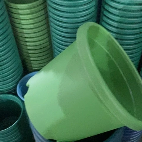 树脂四季3号草绿无托10个