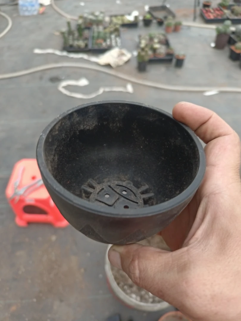 闪电盆，黑胶。适合仙人球多肉植物