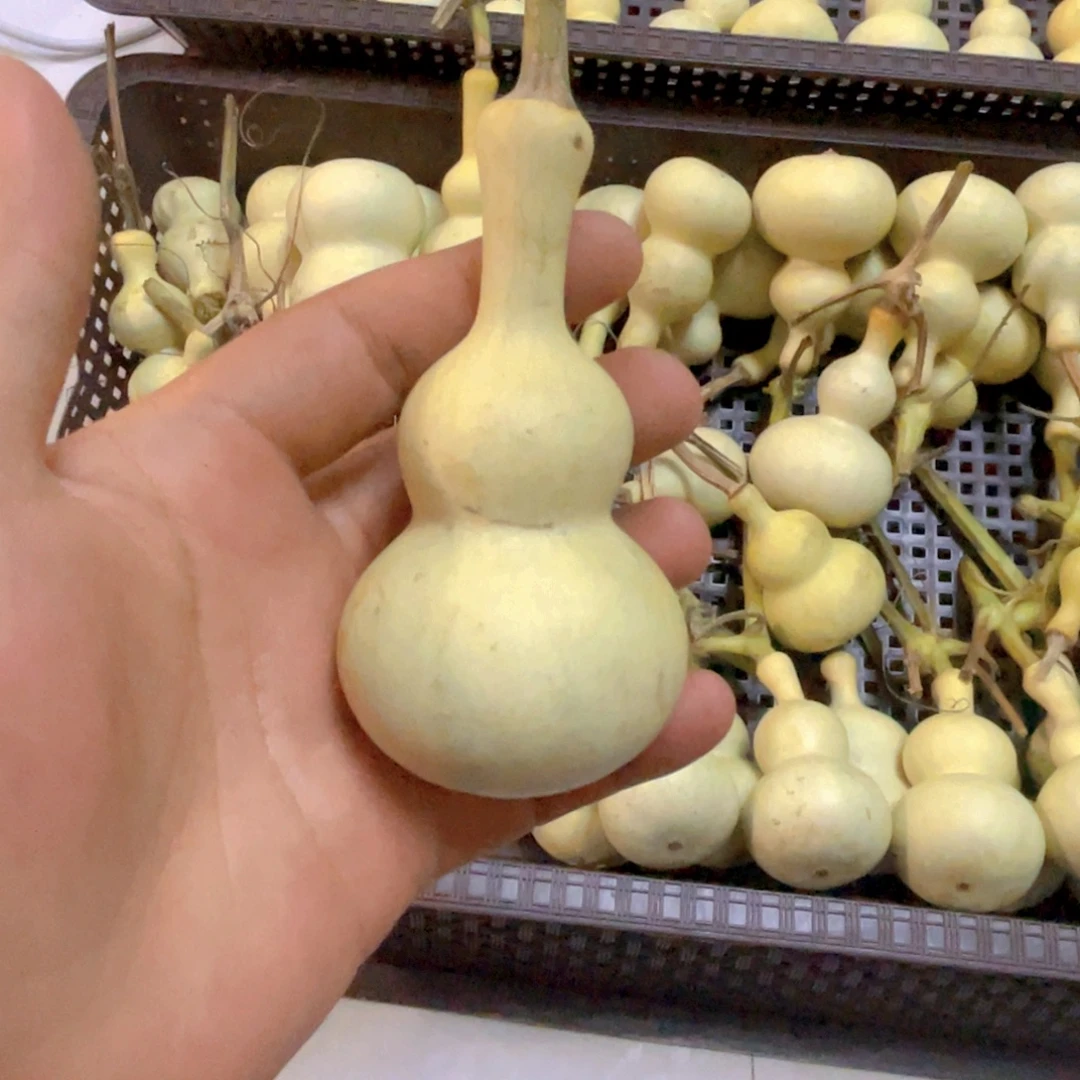 高***贸感谢大哥支持兄弟不保