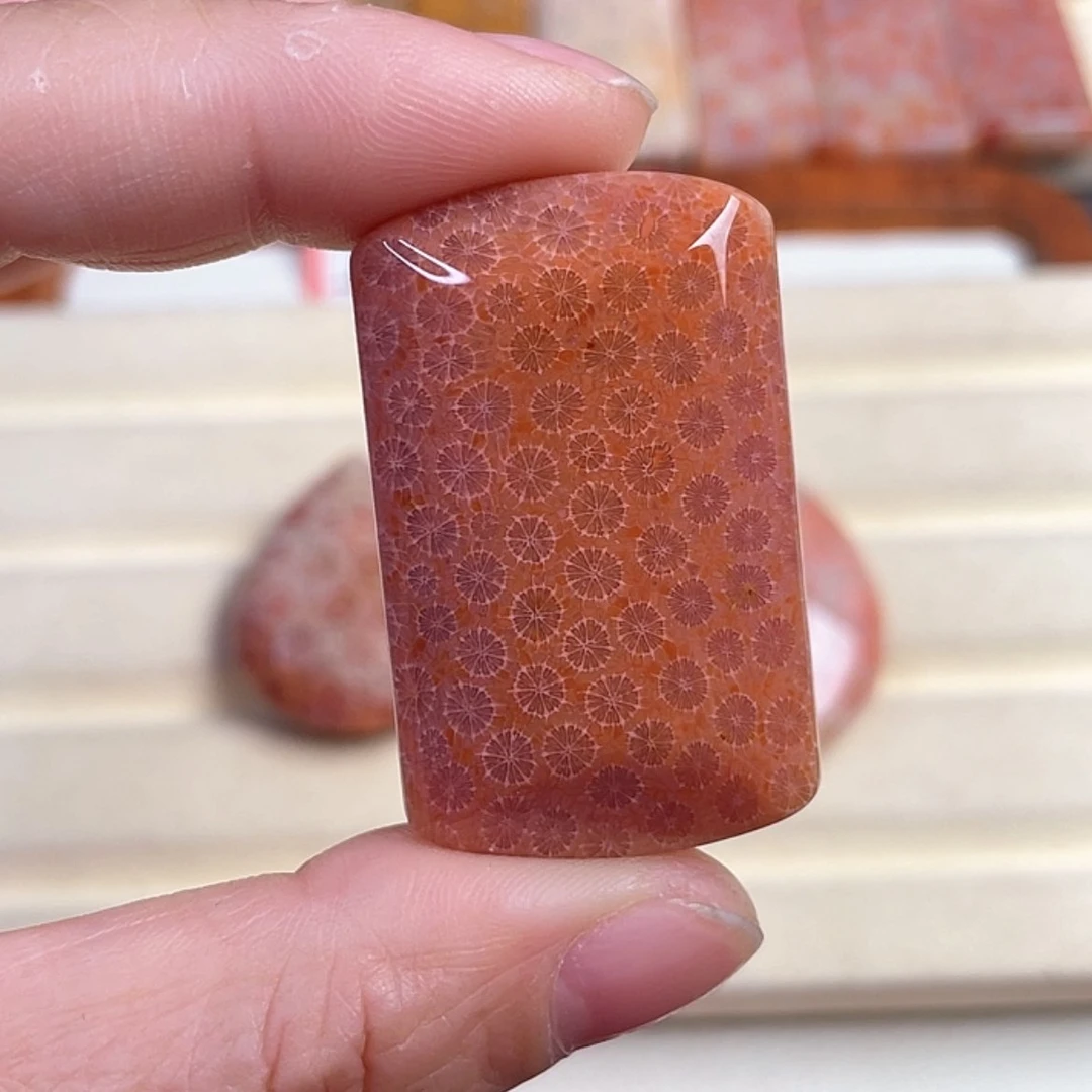 【闪购商品】硅化玉吊坠(赠链)未镶嵌秦*