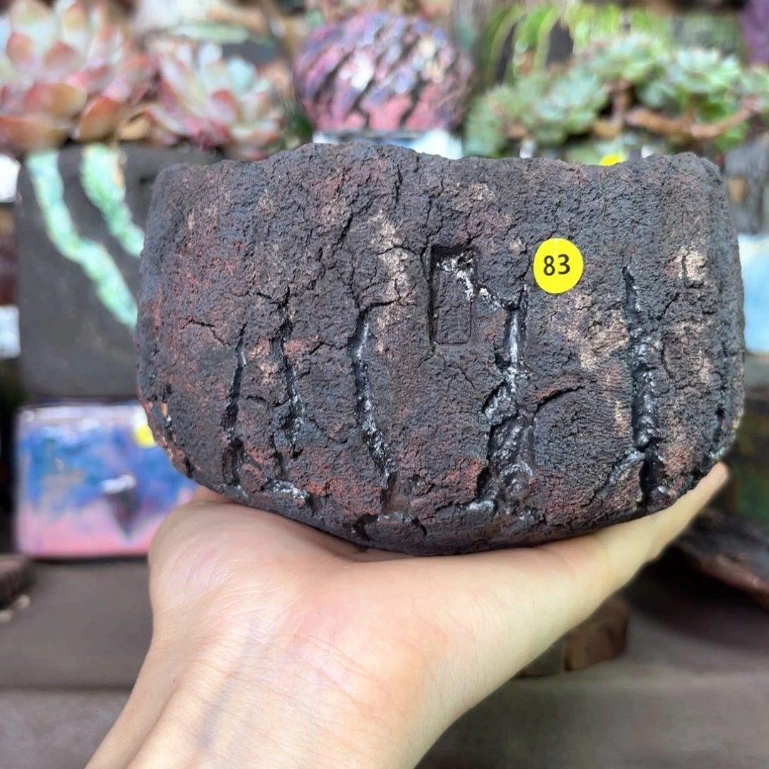 樱桃专拍一物一拍