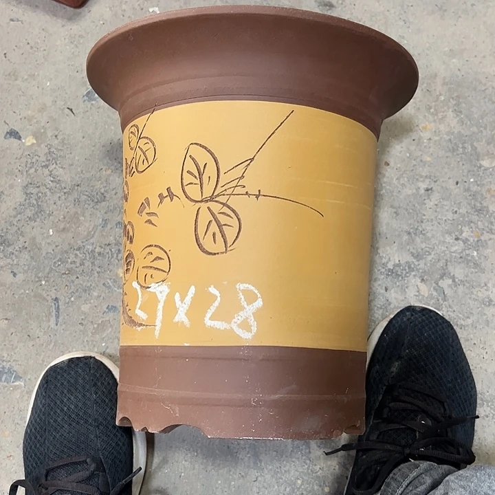 紫砂艺术学院美术