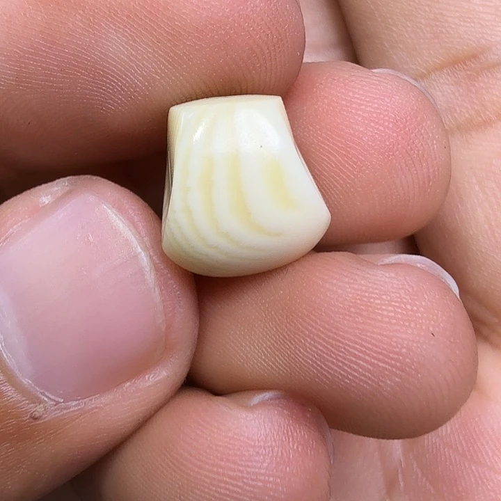 柏香籽/百香籽吊坠