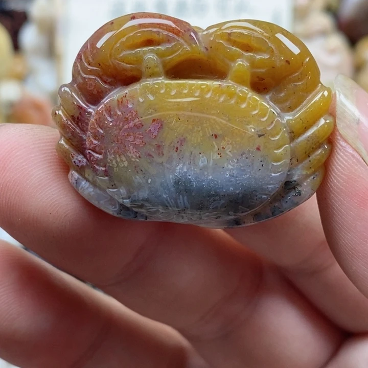 颈饰未镶嵌硅化珊瑚（珊瑚玉）