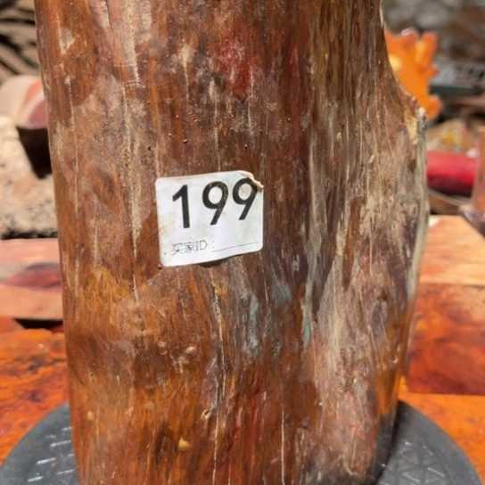 大果紫檀（缅甸花梨）