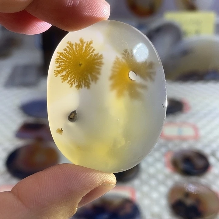 玛瑙/玉髓合金颈饰