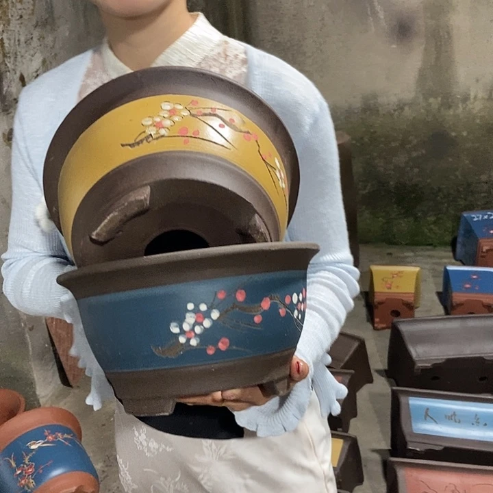 24花盆花盆花盆花盆花盆