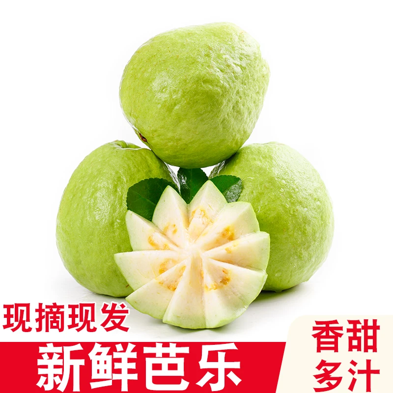 白心脆甜芭乐番石榴香甜脆甜口感应季当季新鲜水果整箱