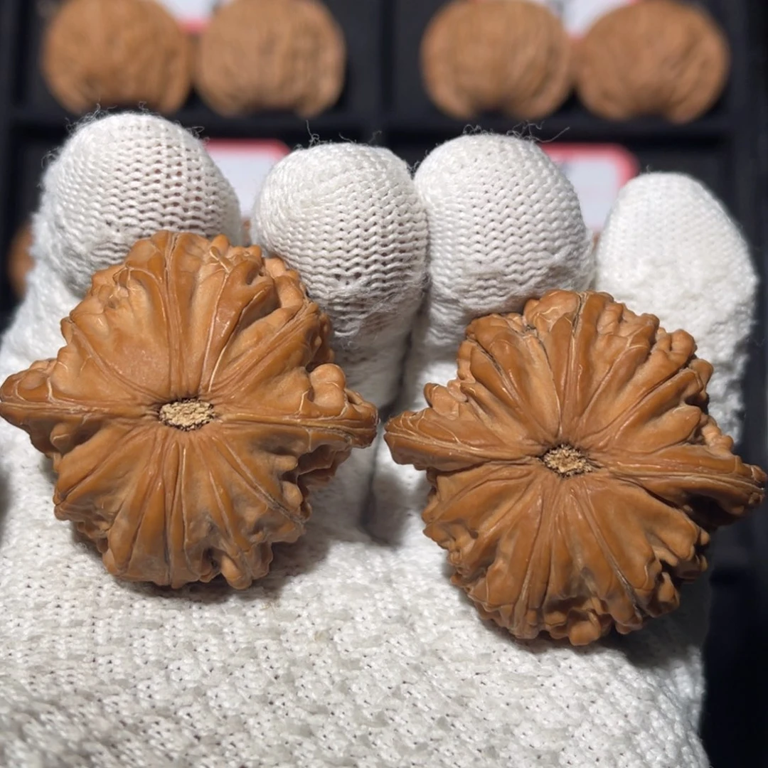 文玩核桃吊坠01秦皇岛山地果全品蝴蝶磨