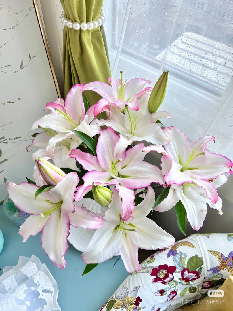 【百年好合】霓裳仙子香水百合（一单中通）