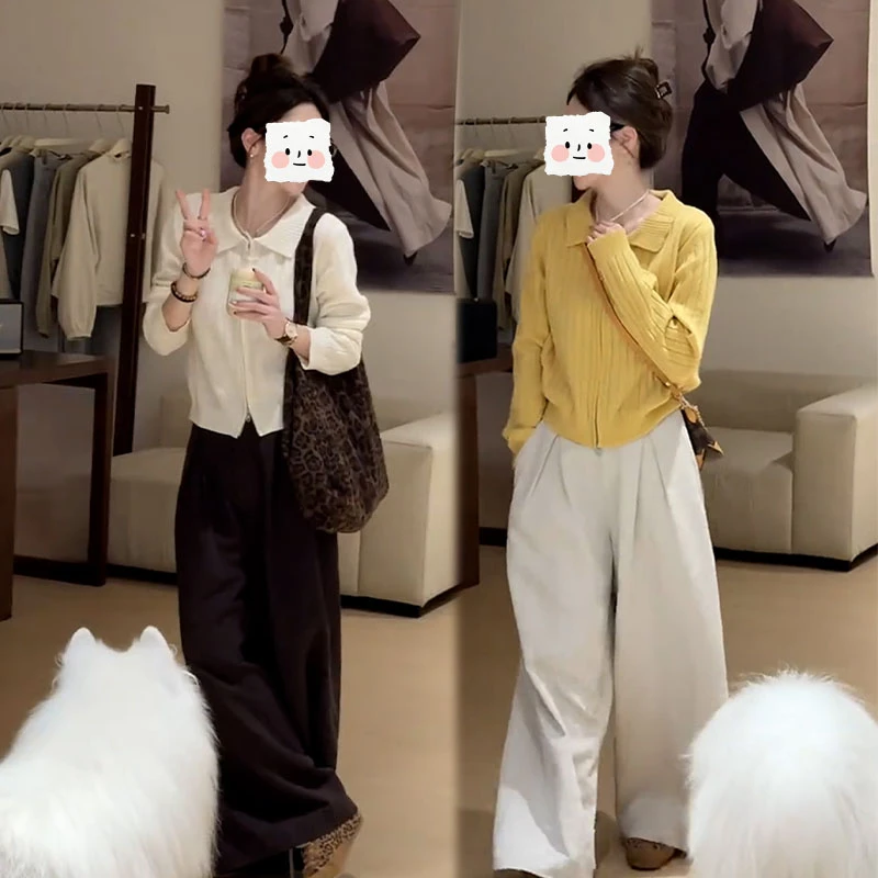 2025秋季新款设计感慵懒风洋气长袖开衫女搭配休闲阔腿裤两件套