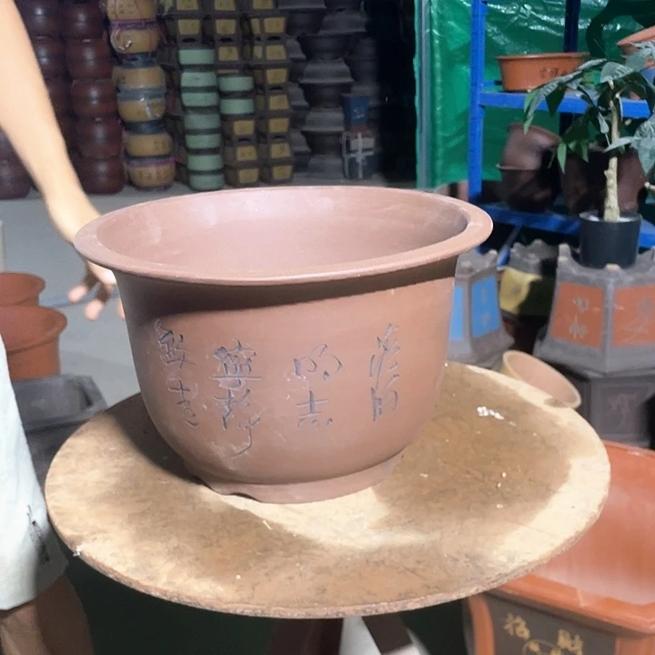 30平角金钟花盆花盆