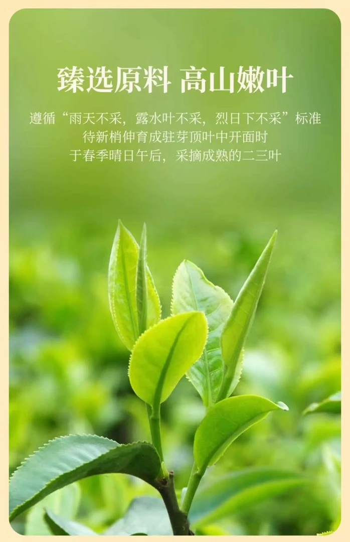 华祥苑新时光肉桂品鉴2泡装